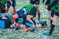 Monaghan Legends V Perennials (3)